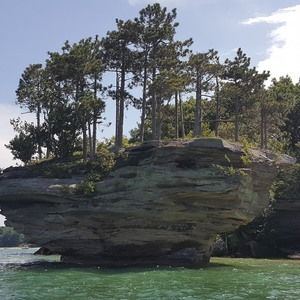 Meet your Posher, Vinnie